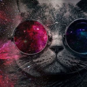 Meet your Posher, Jo